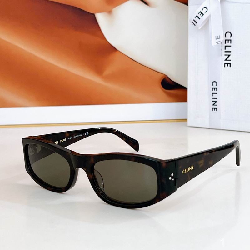 Celine Sunglasses ID:20250816-170